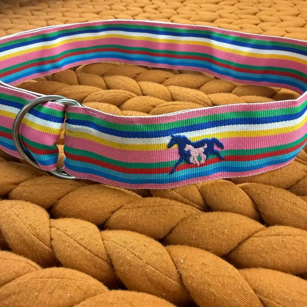 EQ Equestrian Horse Riding Rainbow Stripe Grosgrain Ribbon Belt M Medium Girls